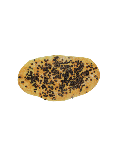 Coca d'anís i xocolata (S)