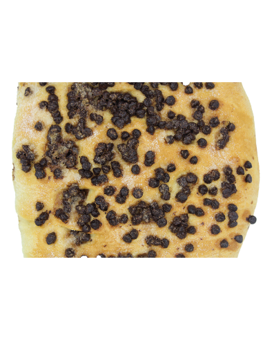 Coca d'anís i xocolata (S)