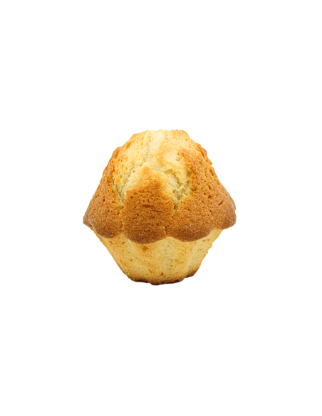 Magdalena de motlle (6 unitats)