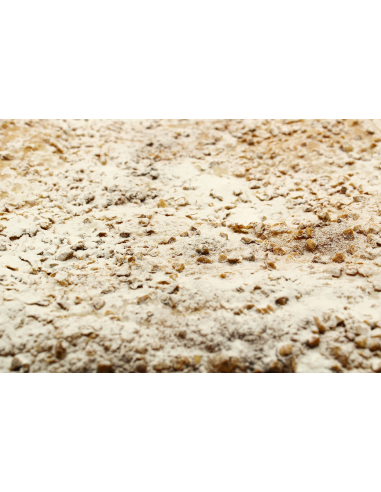 Coca de full farcida de crema