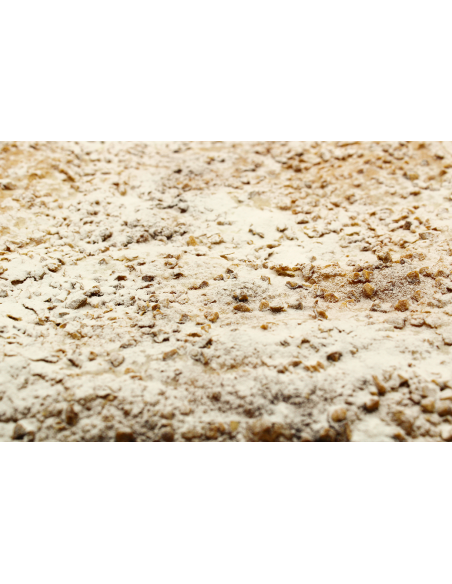 Coca de full farcida de crema