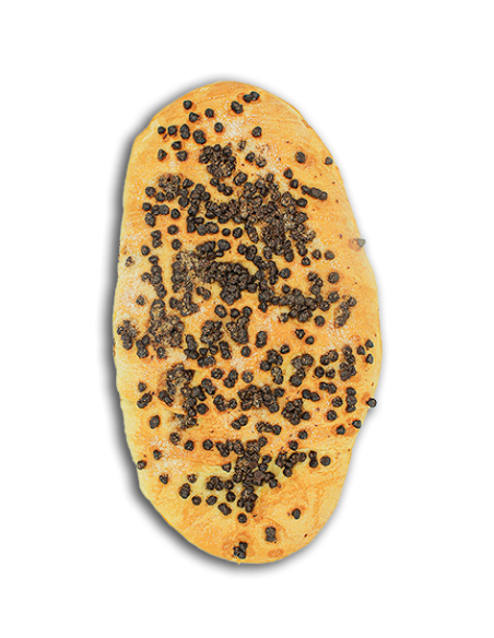 Coca de anís y chocolate (M)